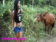 Порно с коням смотрет онлайн